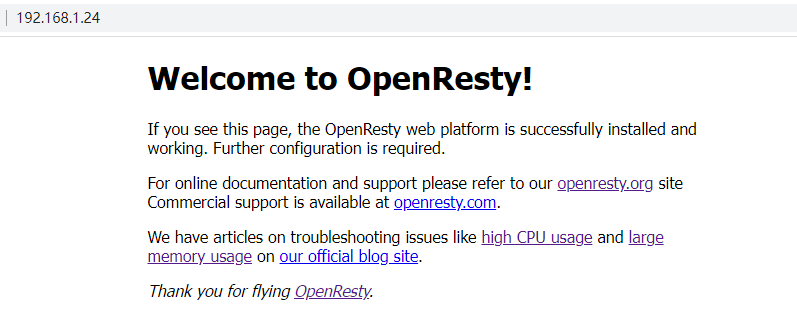 OpenResty成功启动了