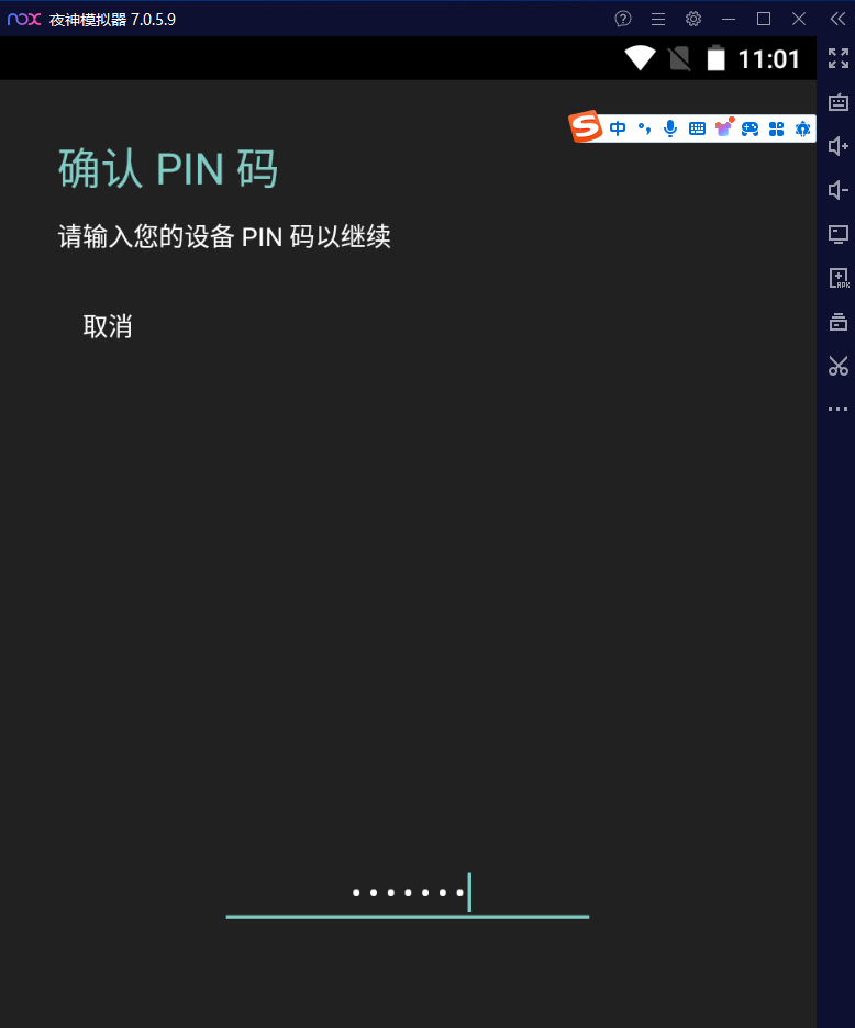 输入PIN码