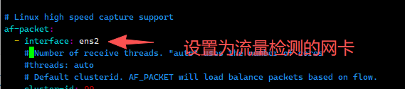 设置为流量检测的网卡